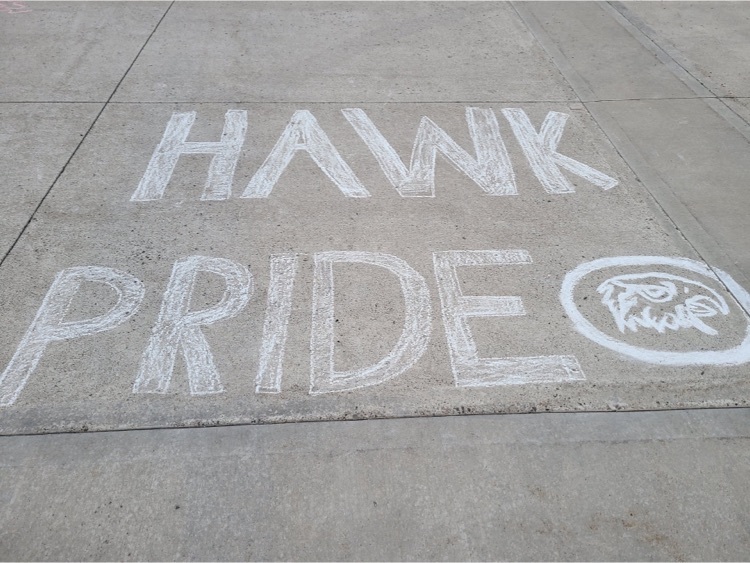 hawk pride